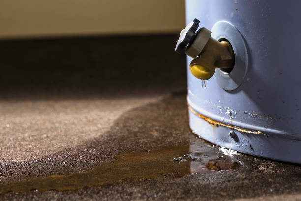 Best Sewage cleanup and water damage restoration  in Stevensville, MI