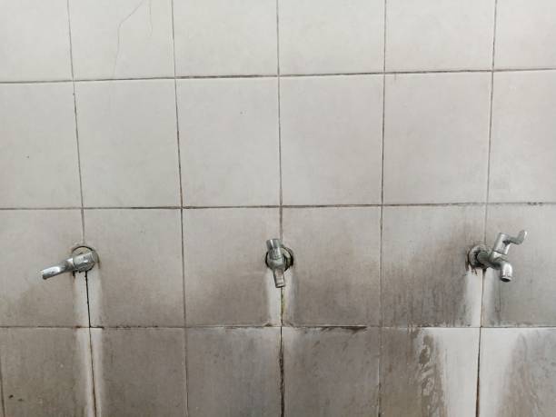 Trusted Stevensville, MI Water damage restoration Experts