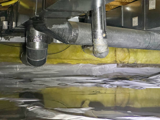 Best Fire Damage Restoration  in Stevensville, MI