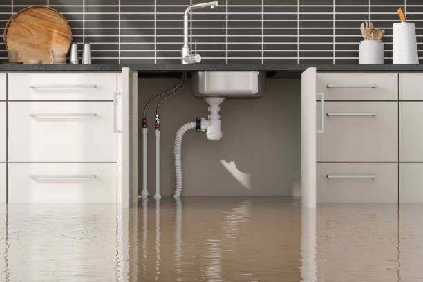 Best Ceiling water damage repair  in Stevensville, MI