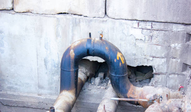Best Flood restoration services  in Stevensville, MI
